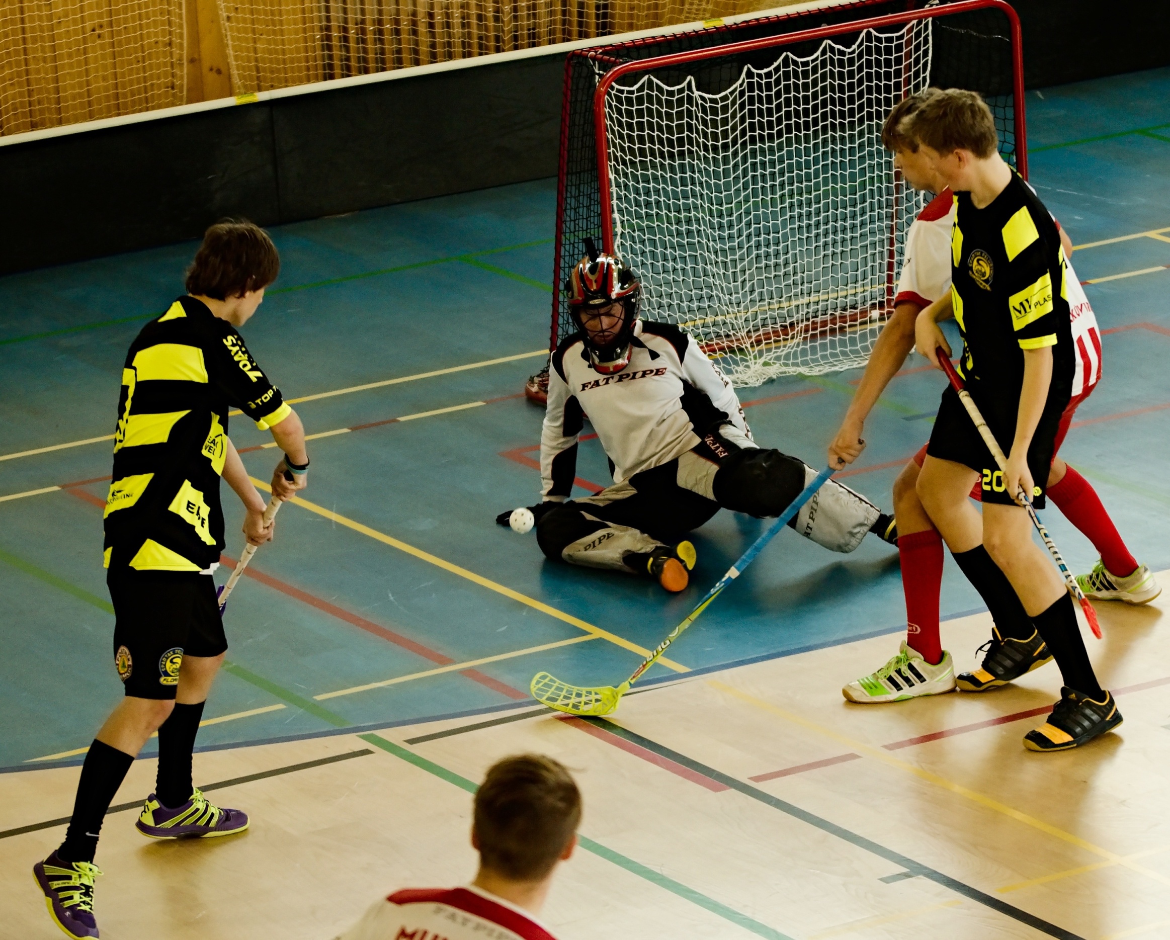 JunciLedec241015 030